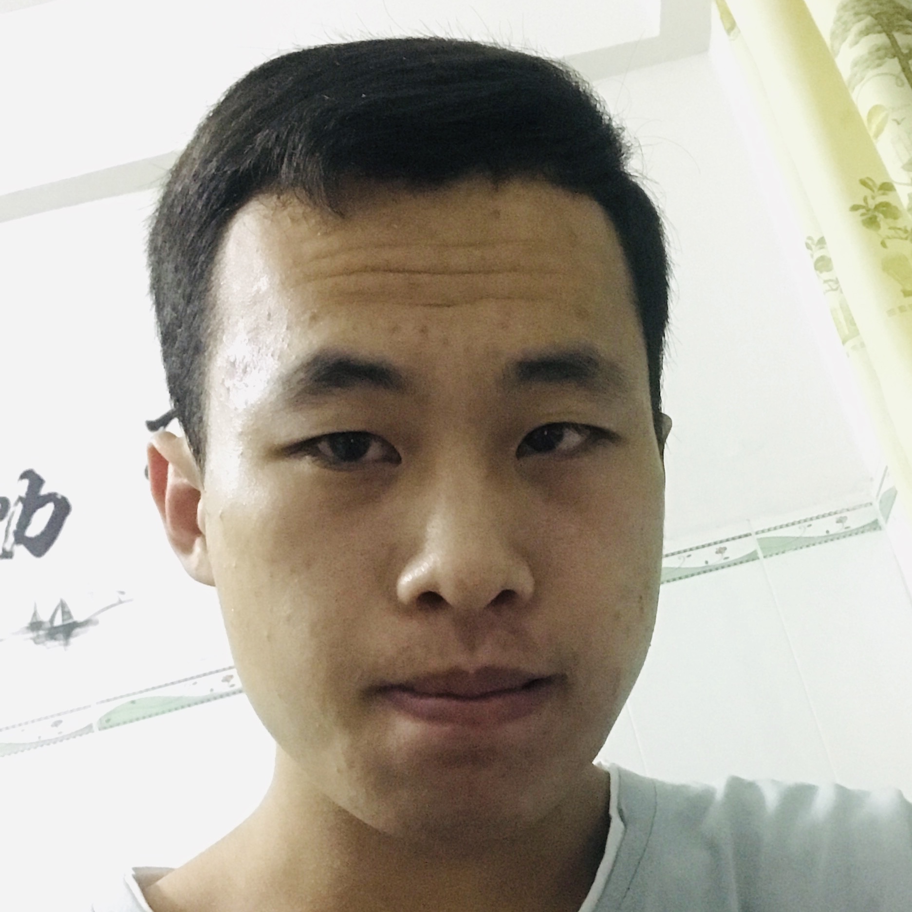 ������Ƭ