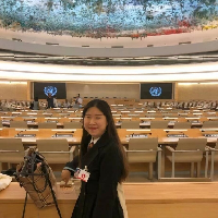 ������Ƭ